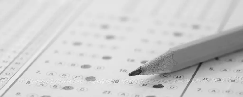 Insights Check: Navigating Teamwork